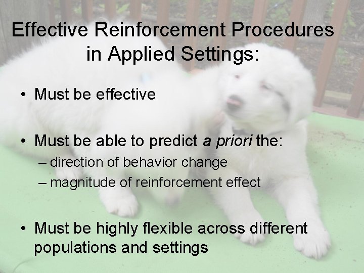 Effective Reinforcement Procedures in Applied Settings: • Must be effective • Must be able