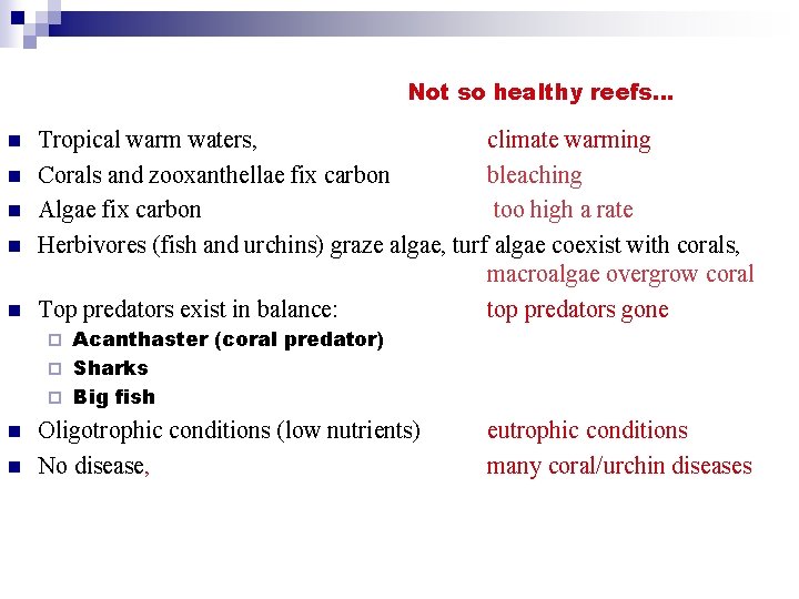 Not so healthy reefs… n n n Tropical warm waters, climate warming Corals and