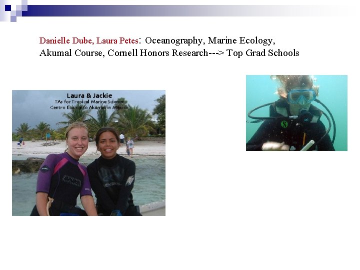 Danielle Dube, Laura Petes: Oceanography, Marine Ecology, Akumal Course, Cornell Honors Research---> Top Grad