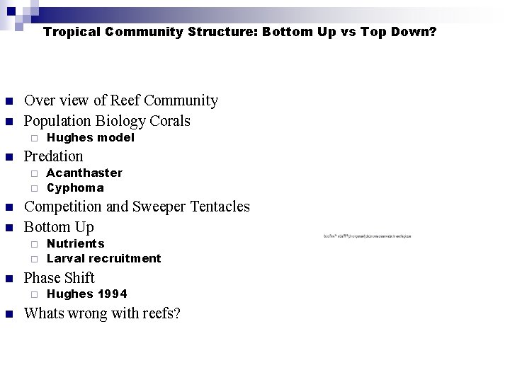 Tropical Community Structure: Bottom Up vs Top Down? n n Over view of Reef
