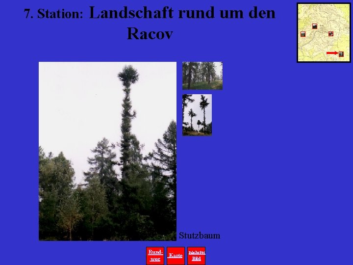 7. Station: Landschaft rund um den Racov Stutzbaum Rundweg Karte nächstes Bild 