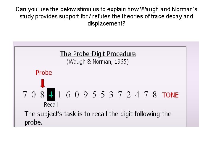 Can you use the below stimulus to explain how Waugh and Norman’s study provides