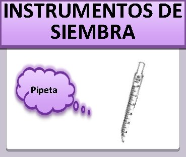 INSTRUMENTOS DE SIEMBRA Pipeta 