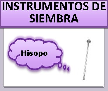 INSTRUMENTOS DE SIEMBRA Hisopo 