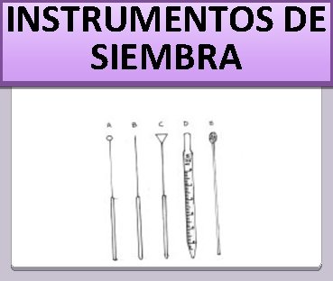 INSTRUMENTOS DE SIEMBRA 