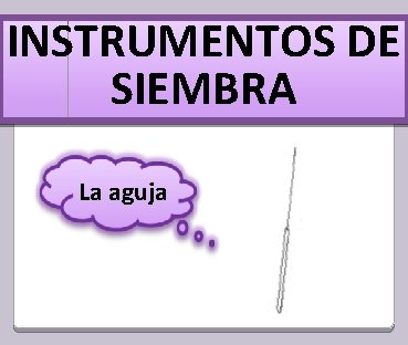 INSTRUMENTOS DE SIEMBRA La aguja 