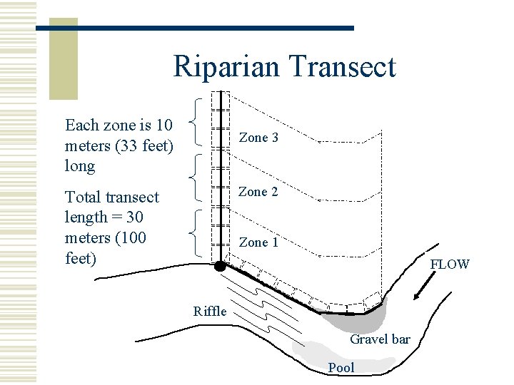 Riparian Transect Each zone is 10 meters (33 feet) long Zone 3 Zone 2