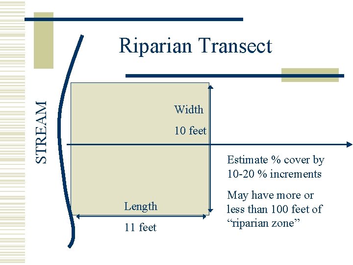 STREAM Riparian Transect Width 10 feet Estimate % cover by 10 -20 % increments