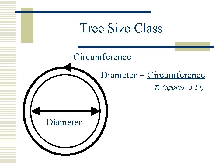 Tree Size Class Circumference Diameter = Circumference (approx. 3. 14) Diameter 
