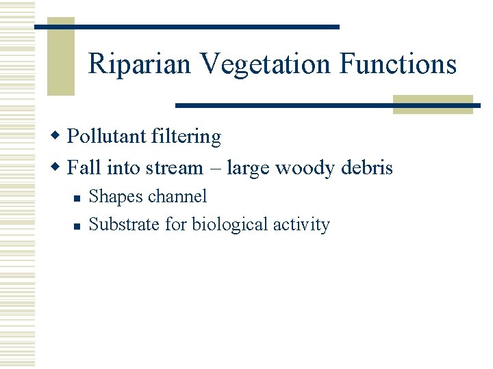 Riparian Vegetation Functions w Pollutant filtering w Fall into stream – large woody debris
