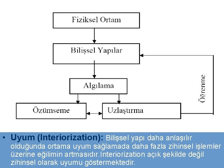  • Uyum (Interiorization): Bilişsel yapı daha anlaşılır olduğunda ortama uyum sağlamada daha fazla