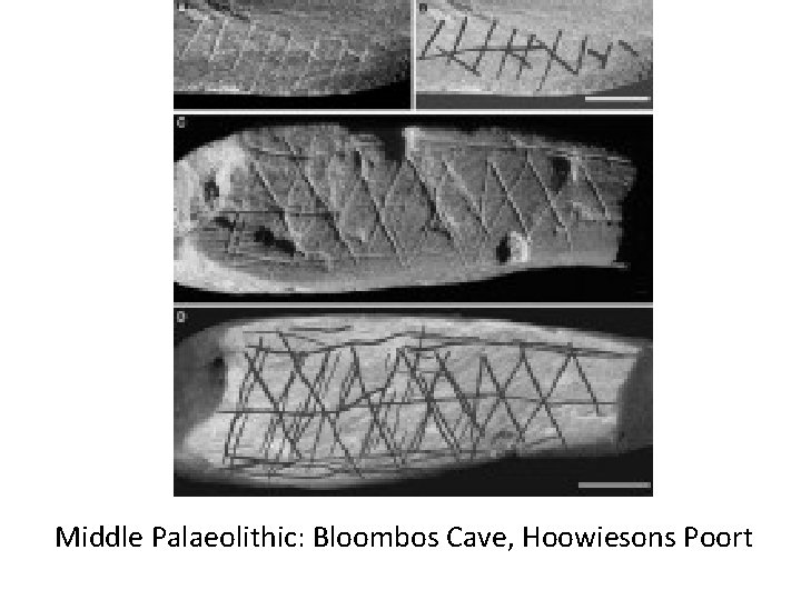 Middle Palaeolithic: Bloombos Cave, Hoowiesons Poort 