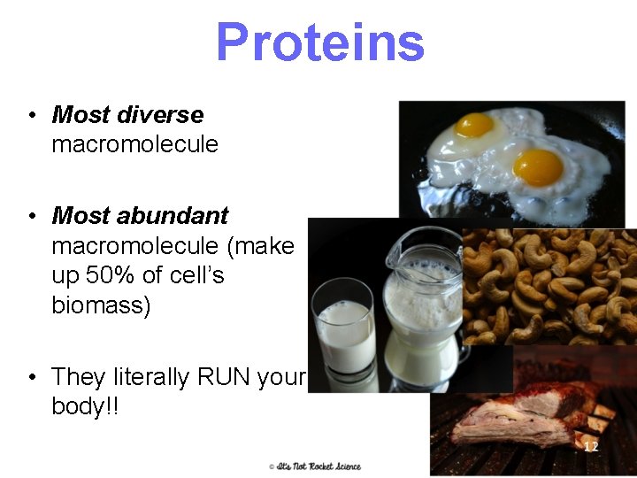 Proteins • Most diverse macromolecule • Most abundant macromolecule (make up 50% of cell’s