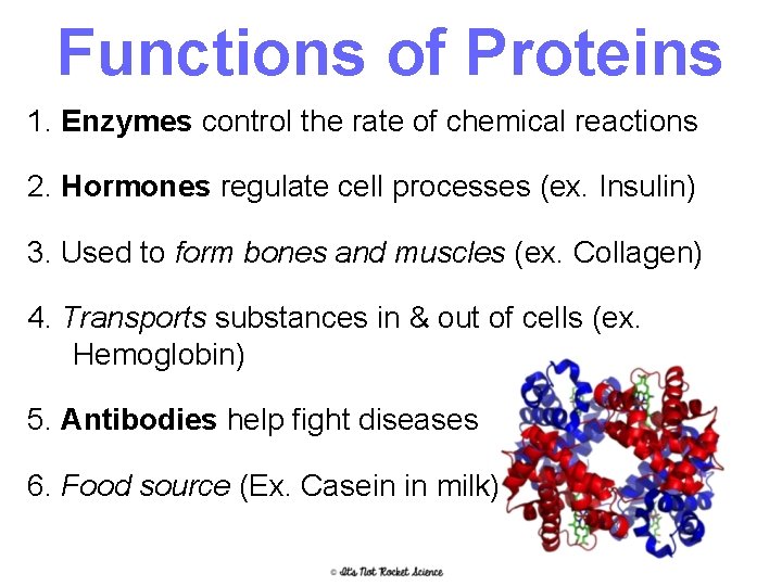 Functions of Proteins 1. Enzymes control the rate of chemical reactions 2. Hormones regulate