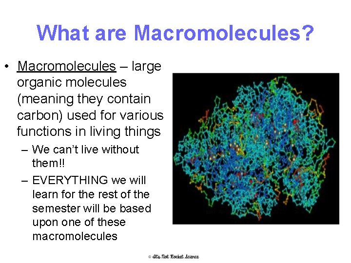 What are Macromolecules? • Macromolecules – large organic molecules (meaning they contain carbon) used