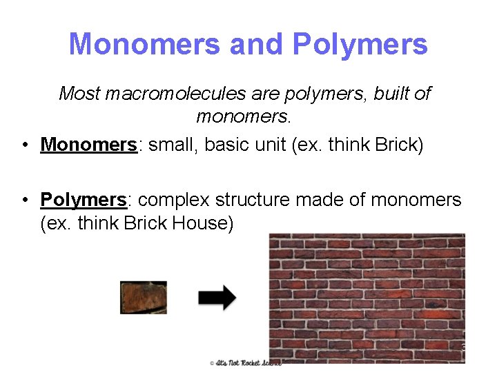 Monomers and Polymers Most macromolecules are polymers, built of monomers. • Monomers: small, basic