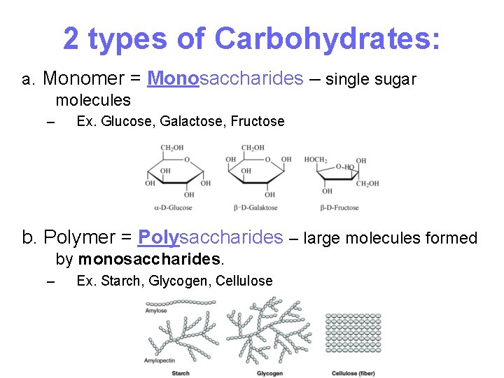 2 types of Carbohydrates: a. Monomer = Monosaccharides – single sugar molecules – Ex.