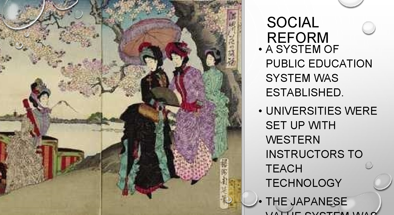 SOCIAL REFORM • A SYSTEM OF PUBLIC EDUCATION SYSTEM WAS ESTABLISHED. • UNIVERSITIES WERE