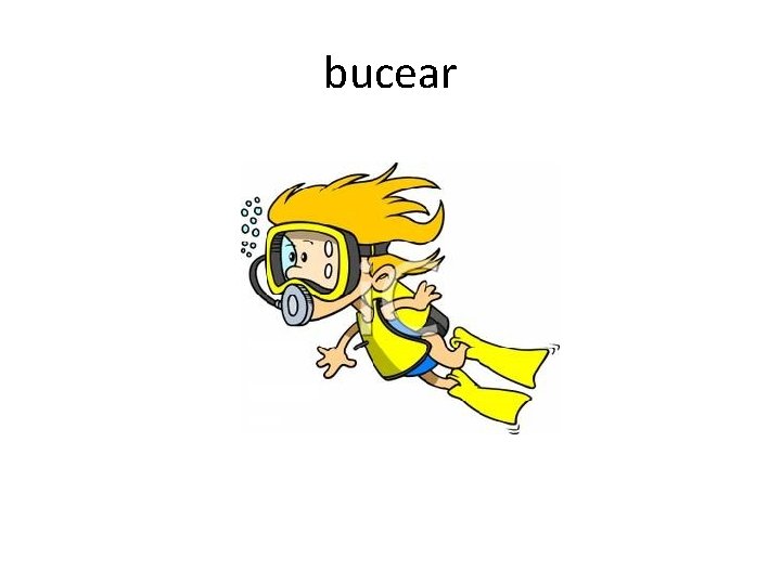 bucear 