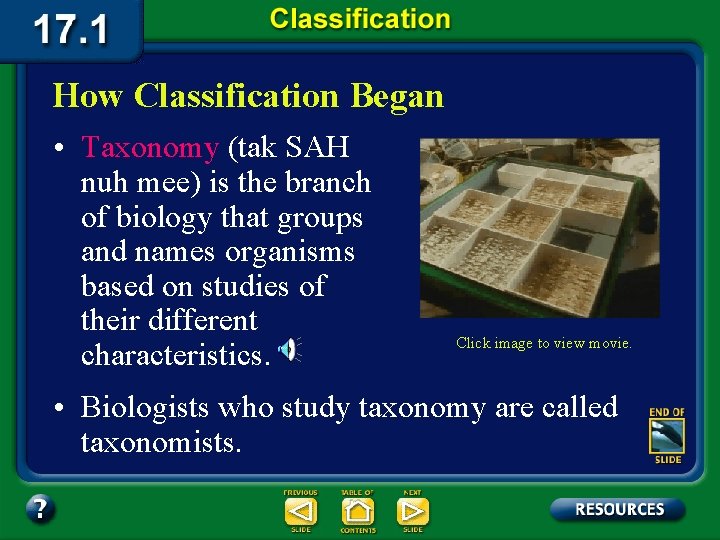 How Classification Began • Taxonomy (tak SAH nuh mee) is the branch of biology