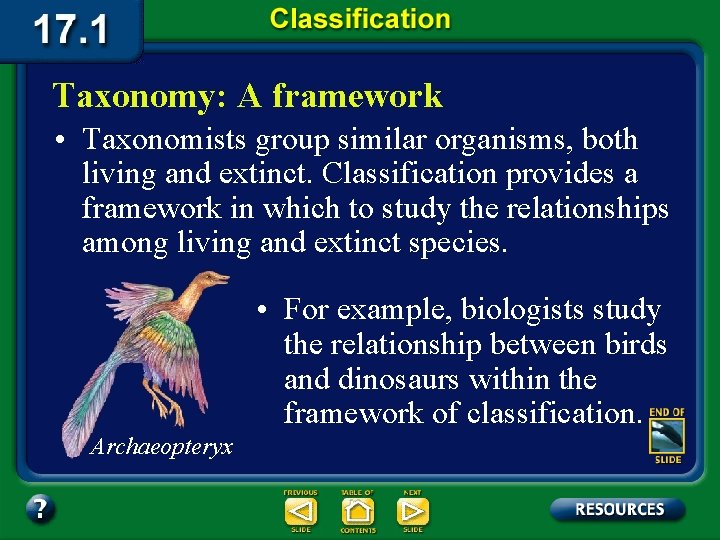 Taxonomy: A framework • Taxonomists group similar organisms, both living and extinct. Classification provides