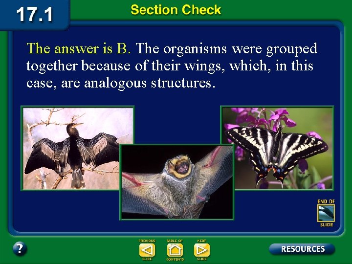 The answer is B. The organisms were grouped together because of their wings, which,