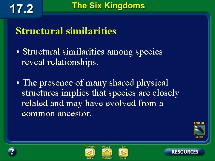 Structural similarities • Structural similarities among species reveal relationships. • The presence of many