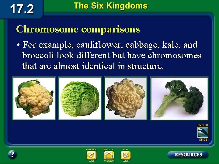 Chromosome comparisons • For example, cauliflower, cabbage, kale, and broccoli look different but have