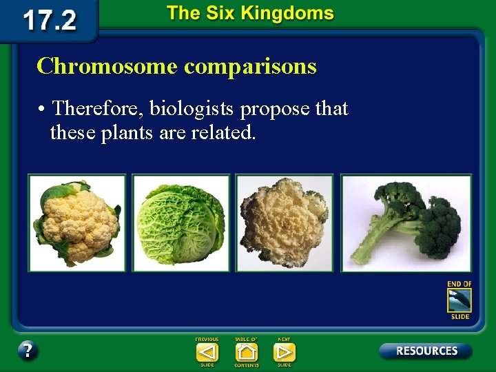 Chromosome comparisons • Therefore, biologists propose that these plants are related. 