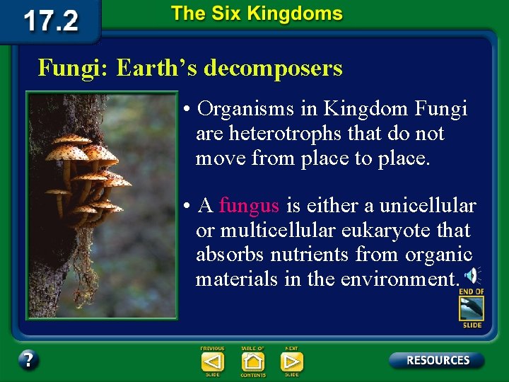 Fungi: Earth’s decomposers • Organisms in Kingdom Fungi are heterotrophs that do not move