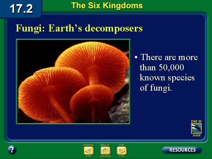 Fungi: Earth’s decomposers • There are more than 50, 000 known species of fungi.