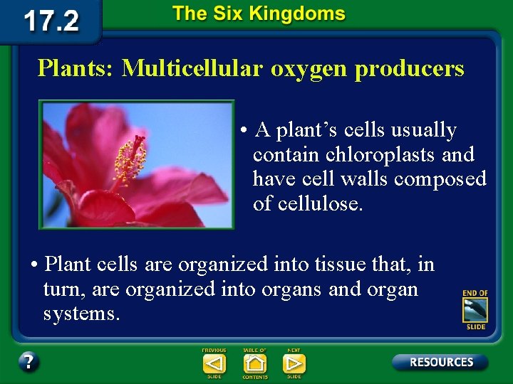 Plants: Multicellular oxygen producers • A plant’s cells usually contain chloroplasts and have cell