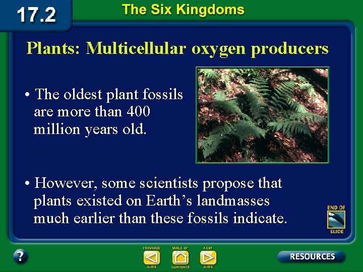 Plants: Multicellular oxygen producers • The oldest plant fossils are more than 400 million