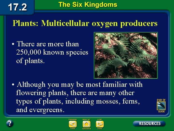 Plants: Multicellular oxygen producers • There are more than 250, 000 known species of