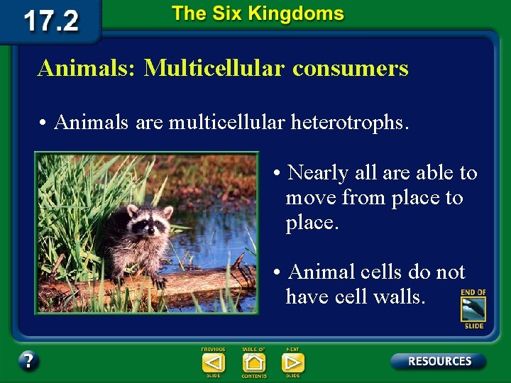Animals: Multicellular consumers • Animals are multicellular heterotrophs. • Nearly all are able to
