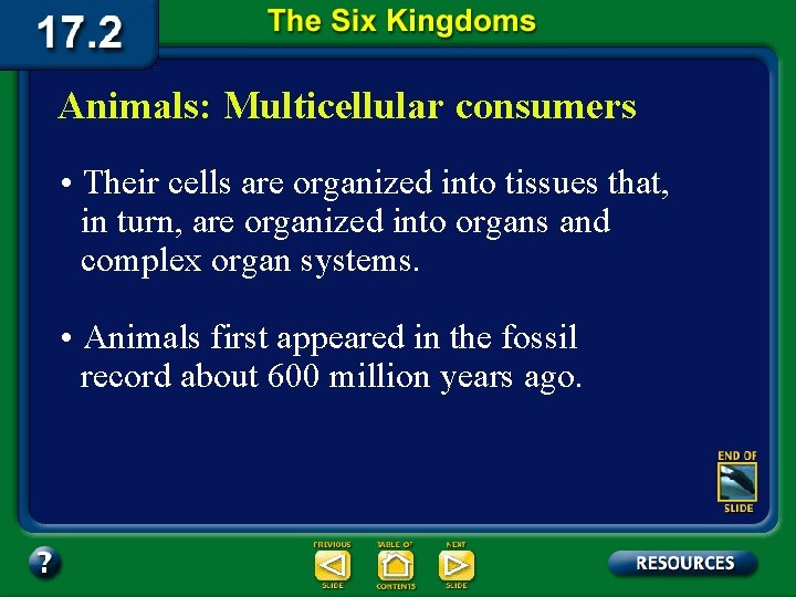 Animals: Multicellular consumers • Their cells are organized into tissues that, in turn, are