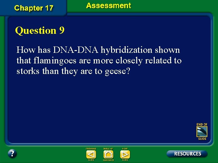 Question 9 How has DNA-DNA hybridization shown that flamingoes are more closely related to