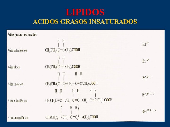 LIPIDOS ACIDOS GRASOS INSATURADOS 