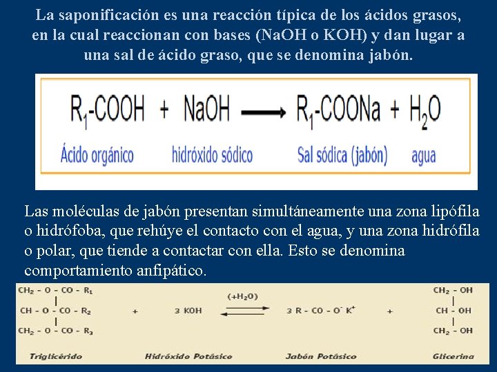 La saponificación es una reacción típica de los ácidos grasos, en la cual reaccionan