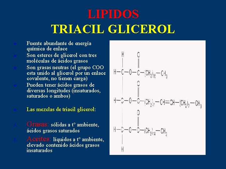 LIPIDOS TRIACIL GLICEROL v v Fuente abundante de energía química de enlace Son esteres