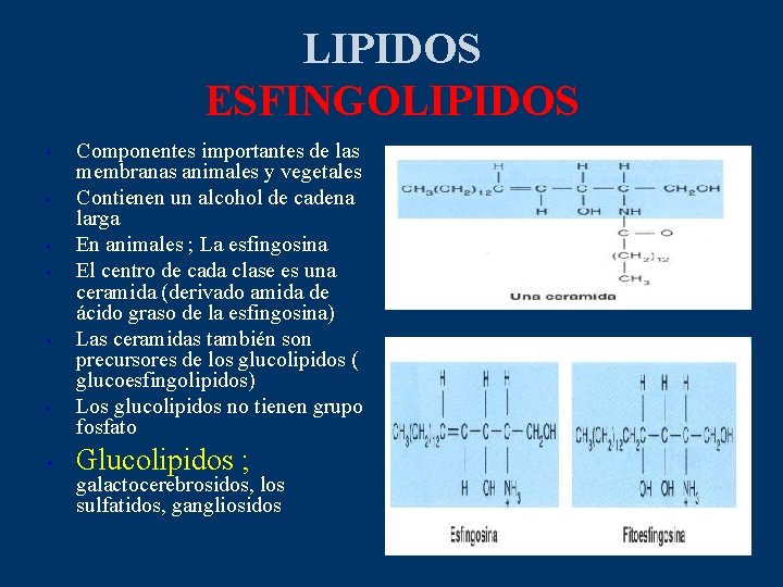 LIPIDOS ESFINGOLIPIDOS • • Componentes importantes de las membranas animales y vegetales Contienen un