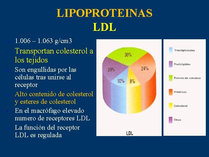 LIPOPROTEINAS LDL o • o 1. 006 – 1. 063 g/cm 3 Transportan colesterol