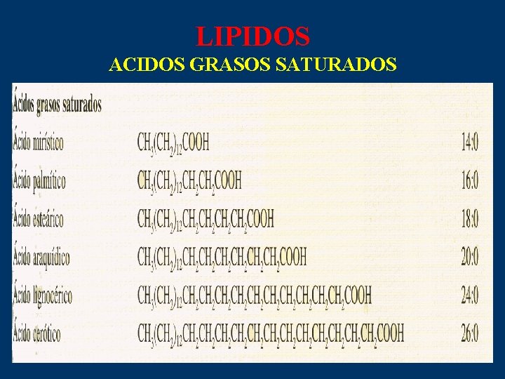 LIPIDOS ACIDOS GRASOS SATURADOS 