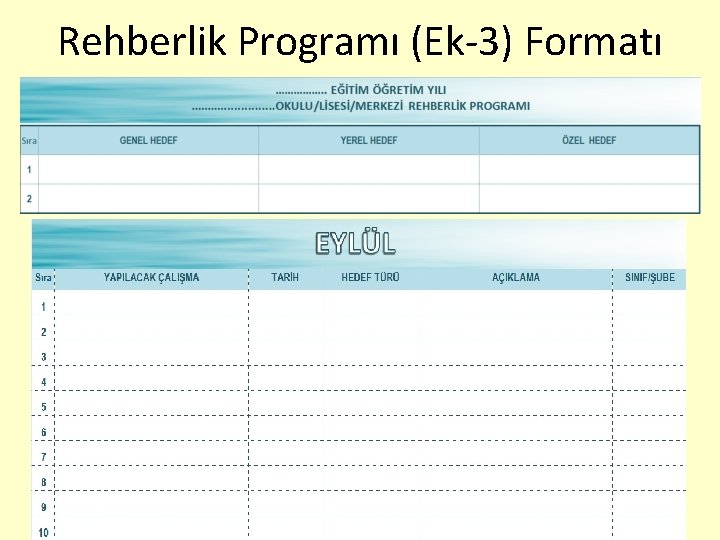 Rehberlik Programı (Ek-3) Formatı 