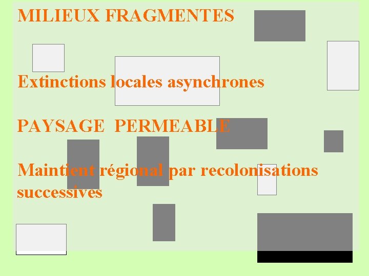 MILIEUX FRAGMENTES Extinctions locales asynchrones PAYSAGE PERMEABLE Maintient régional par recolonisations successives 