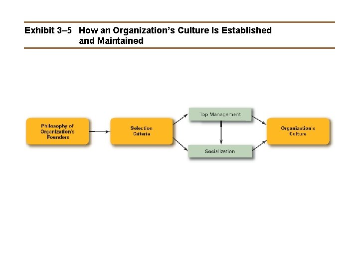 Exhibit 3– 5 How an Organization’s Culture Is Established and Maintained 