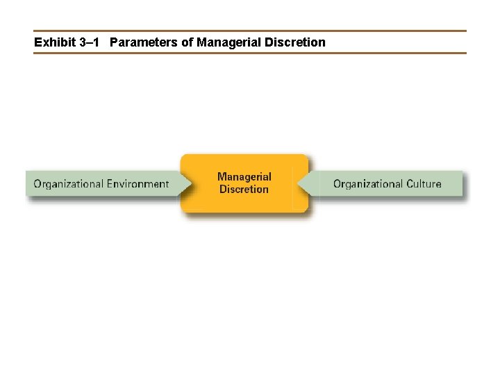 Exhibit 3– 1 Parameters of Managerial Discretion 