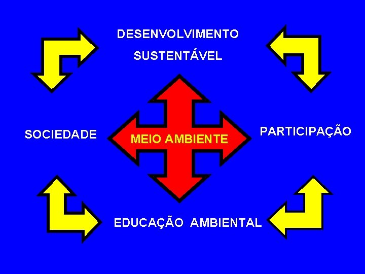 DESENVOLVIMENTO SUSTENTÁVEL SOCIEDADE MEIO AMBIENTE PARTICIPAÇÃO EDUCAÇÃO AMBIENTAL 