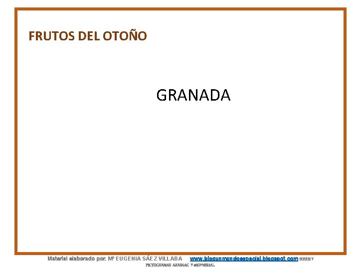 FRUTOS DEL OTOÑO GRANADA Material elaborado por: Mª EUGENIA SÁEZ VILLABA www. blogunmundoespecial. blogspot.