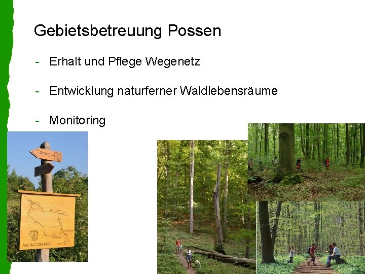 Gebietsbetreuung Possen - Erhalt und Pflege Wegenetz - Entwicklung naturferner Waldlebensräume - Monitoring 